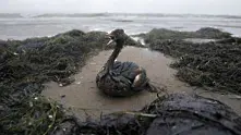 Луизиана на крачка от екологична катастрофа 