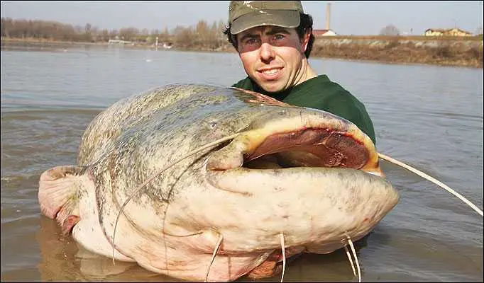 Италианец хвана 125-килограмова риба
