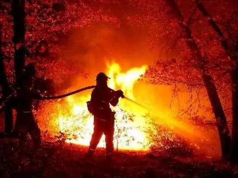 Извънредно положение в Русия заради горските пожари