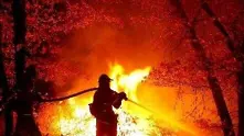 Извънредно положение в Русия заради горските пожари