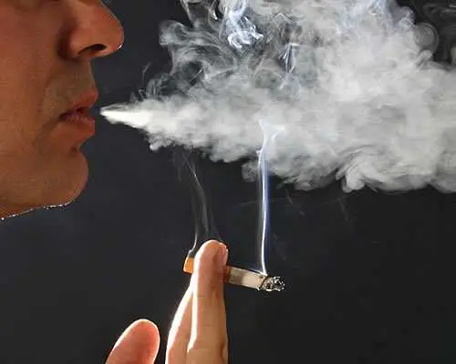 С референдум баварците забраниха напълно пушенето 