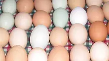Изтеглят 550 млн. яйца от пазара в САЩ заради салмонела