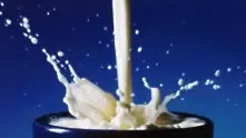 Франция вдига с 10% изкупната цена на млякото