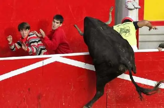Разярен бик рани най-малко 30 души в Испания