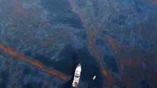Учени: 4,4 млн. барела нефт са изтекли в Мексиканския залив