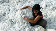 Китайският памук драстично поскъпна