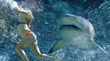 Акула изяде германка в египетски курорт