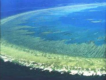 Екокатастрофа надвисна над Големия бариерен риф   