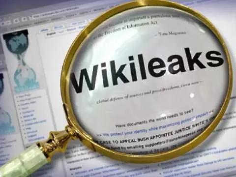 „Уикилийкс” пред фалит?