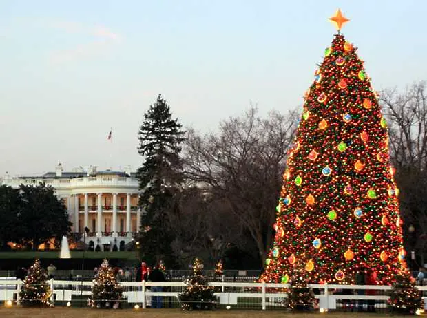 Падна елхата до Белия дом