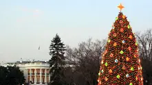 Падна елхата до Белия дом