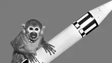 Иран избира маймуна, която да полети в космоса (видео)