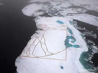 Витрувианският човек на Да Винчи се появи върху арктически ледове