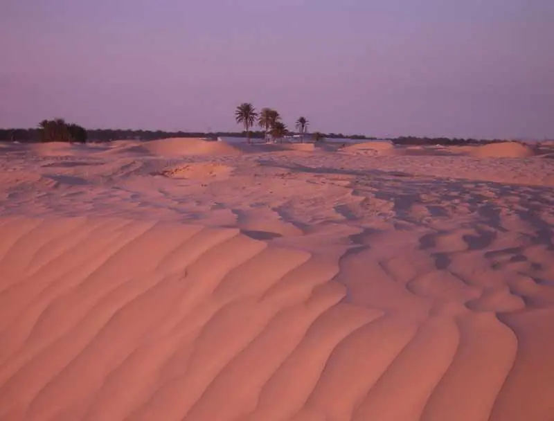 Учени откриха следи от изчезнала цивилизация в Сахара   