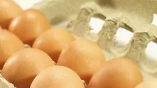 Законни ли са полските яйца, ще следят родните производители