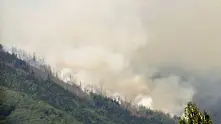 Доброволци: Пожарът на Витоша тръгва към живата гора