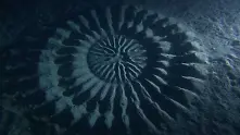 Японски фотограф откри мистериозни подводни кръгове (фотогалерия)