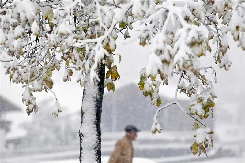 Първи сняг предизвика хаос по пътищата в Австрия и Швейцария