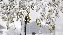 Първи сняг предизвика хаос по пътищата в Австрия и Швейцария