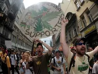 Чехия на път да легализира марихуаната за медицински цели