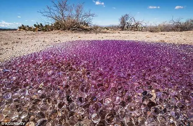 Мистериозни виолетови сфери се появиха в пустинята на Аризона