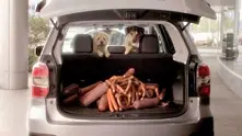 Умни кучета карат коли в чаровната нова реклама на Subaru