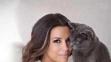 Ева Лонгория в реклама на котешка храна