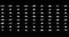 НАСА публикува първи кадри от астероида 2012 DA14