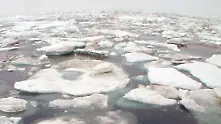 Ледовете на Южния полюс се топят десет пъти по-бързо, алармираха учени