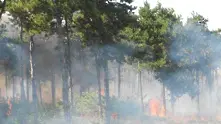 Дядо пчелар предизвикал пожара край Хасково