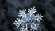Фотогалерия: Снежинки под микроскоп