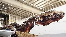 Драконът Смог се появи на борда на Air New Zealand