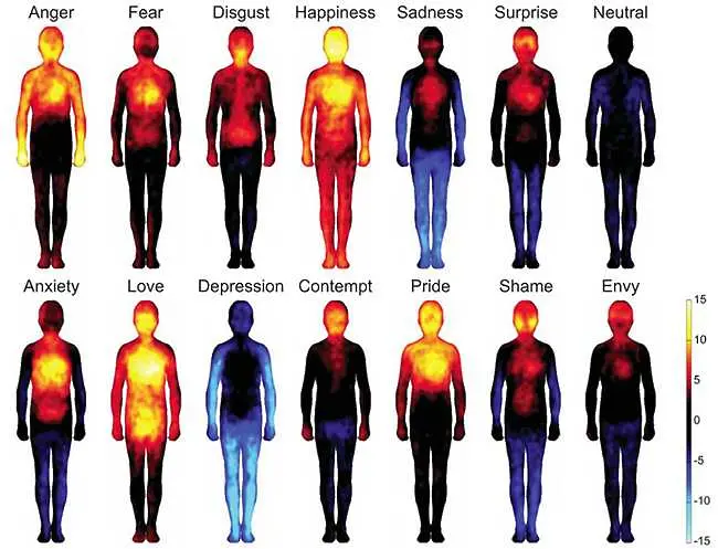 Изследване показва как тялото ни реагира на емоциите
