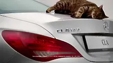 Mercedes-Benz рекламира с мързелива котка