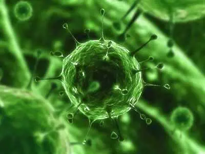 Четири опасни вируса върлуват по света