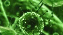 Четири опасни вируса върлуват по света