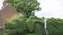 Английски градинар отглежда дракон в предния си двор