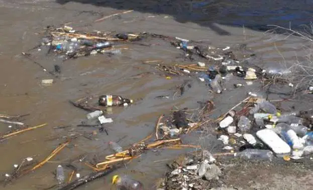 Пластмасата застрашава живота в океаните и моретата