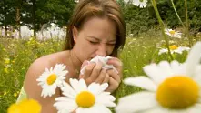 Всеки трети българин страда от алергия