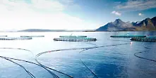 Мицубиши купува норвежка риболовна компания