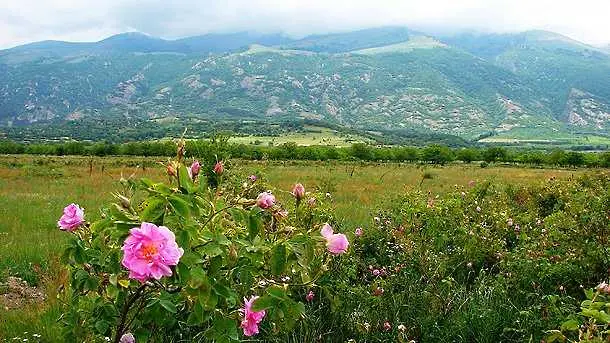 Връщат Родопите и Розовата долина на туристическата карта на България