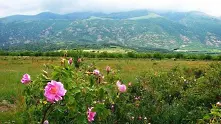 Връщат Родопите и Розовата долина на туристическата карта на България