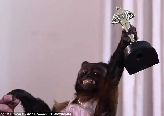 Маймуна получи награда за цялостен принос в киното