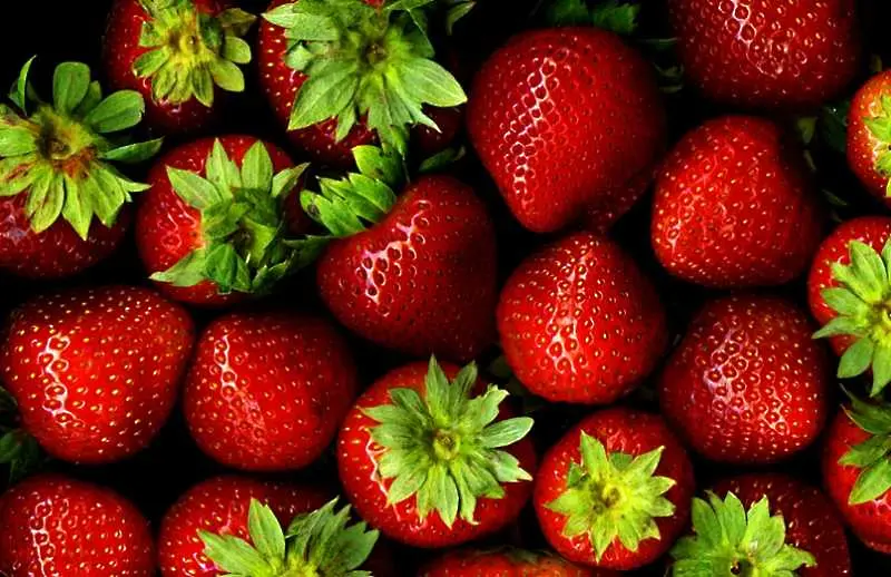 Испания търси 400 берачки на ягоди