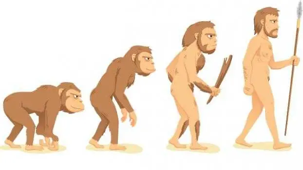 Тест: Какво знаете за еволюцията? 
