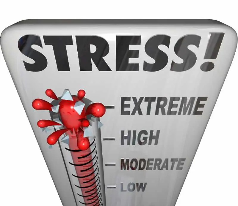 Тест: Симптомите на стреса