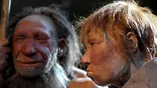 Откриха пътя на древния човек от Африка към Азия 