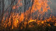 Пожар в Харманлийско, горят гори и храсти