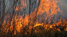 Бедствено положение в Харманли заради пожар