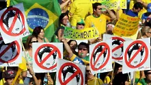 Протести в Бразилия срещу Дилма Русеф